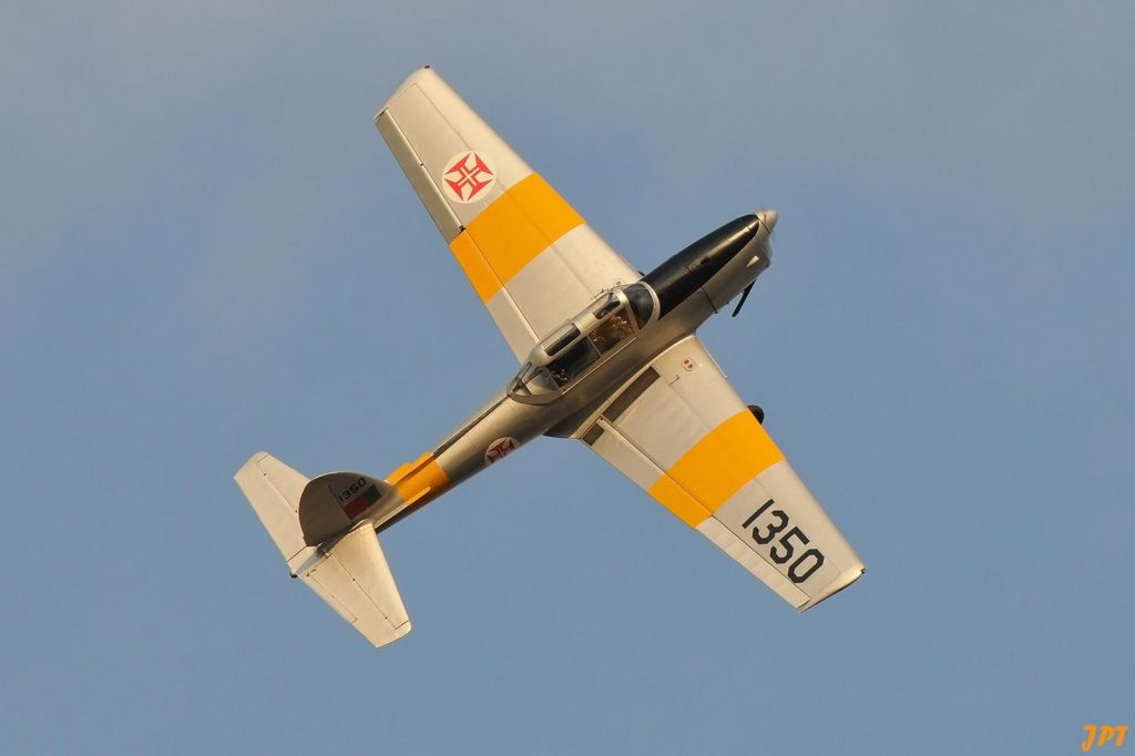 FLYING THE CHIPMUNK