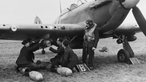 t6 harvard ltd