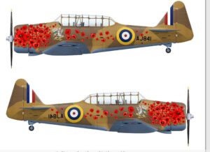 t6 harvard ltd wacky wabbit